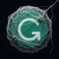 Grammarly trapped in web